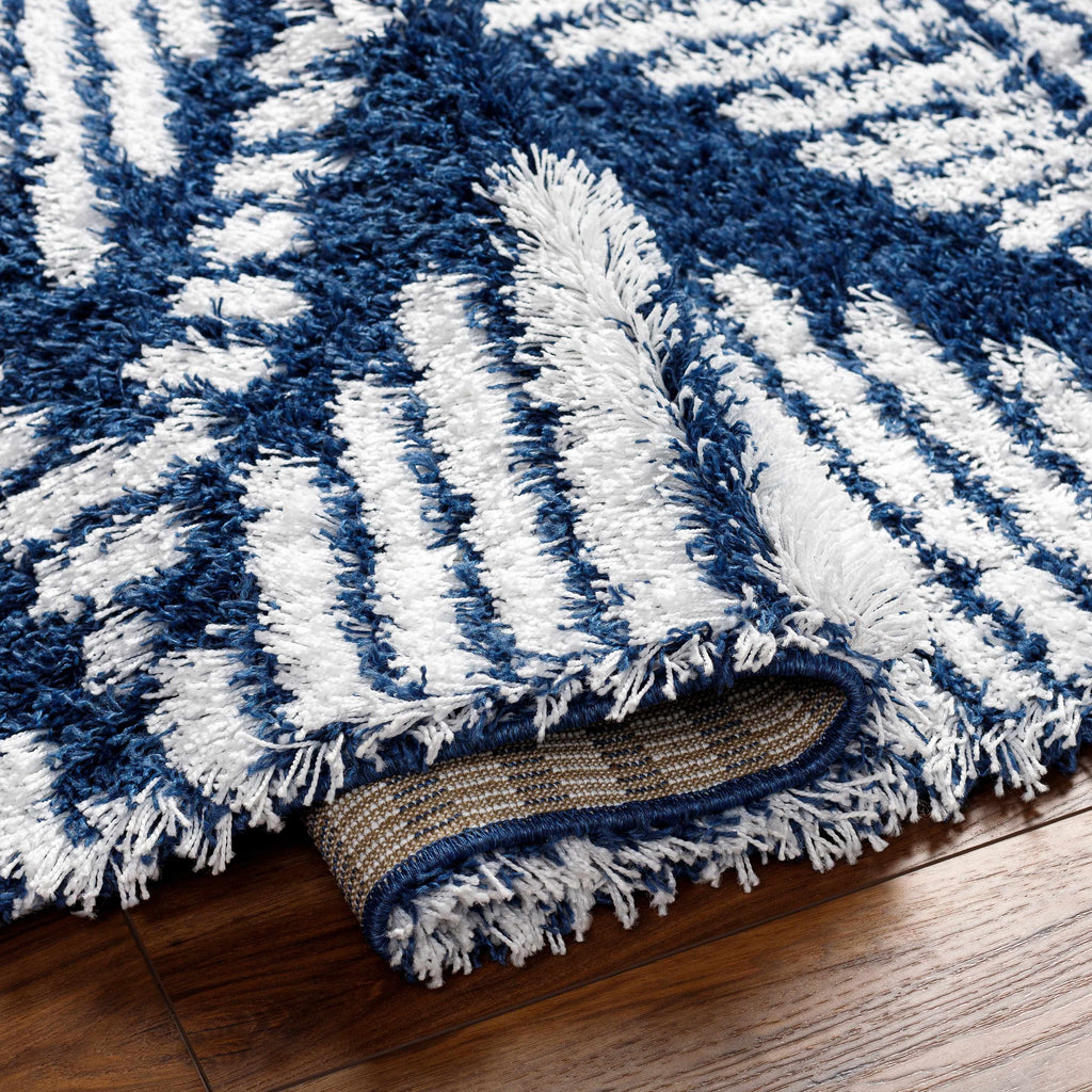Blue Grey Off White Shag Area Rug X387345