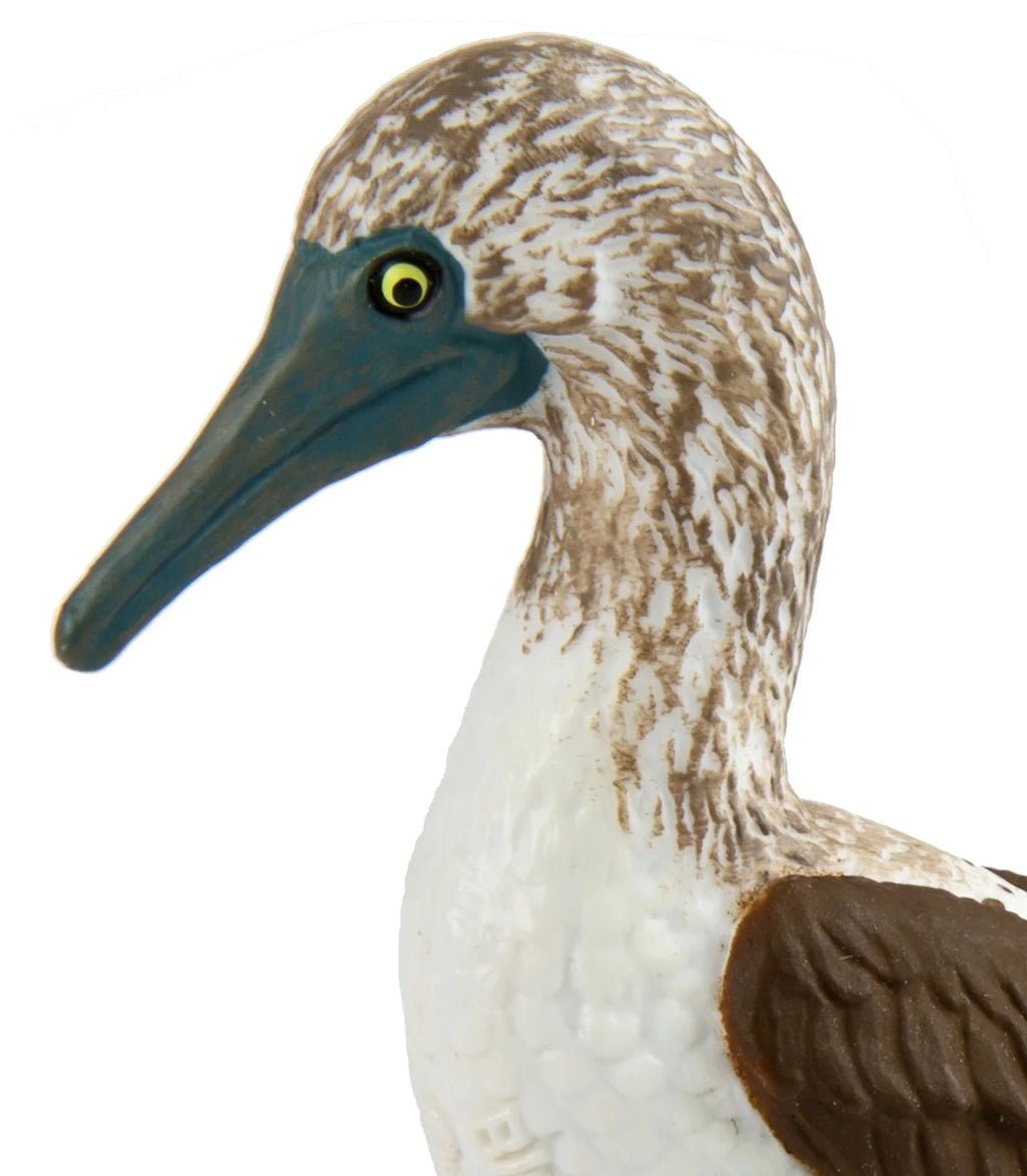 Blue Footed Booby Figurine Multi Color G434
