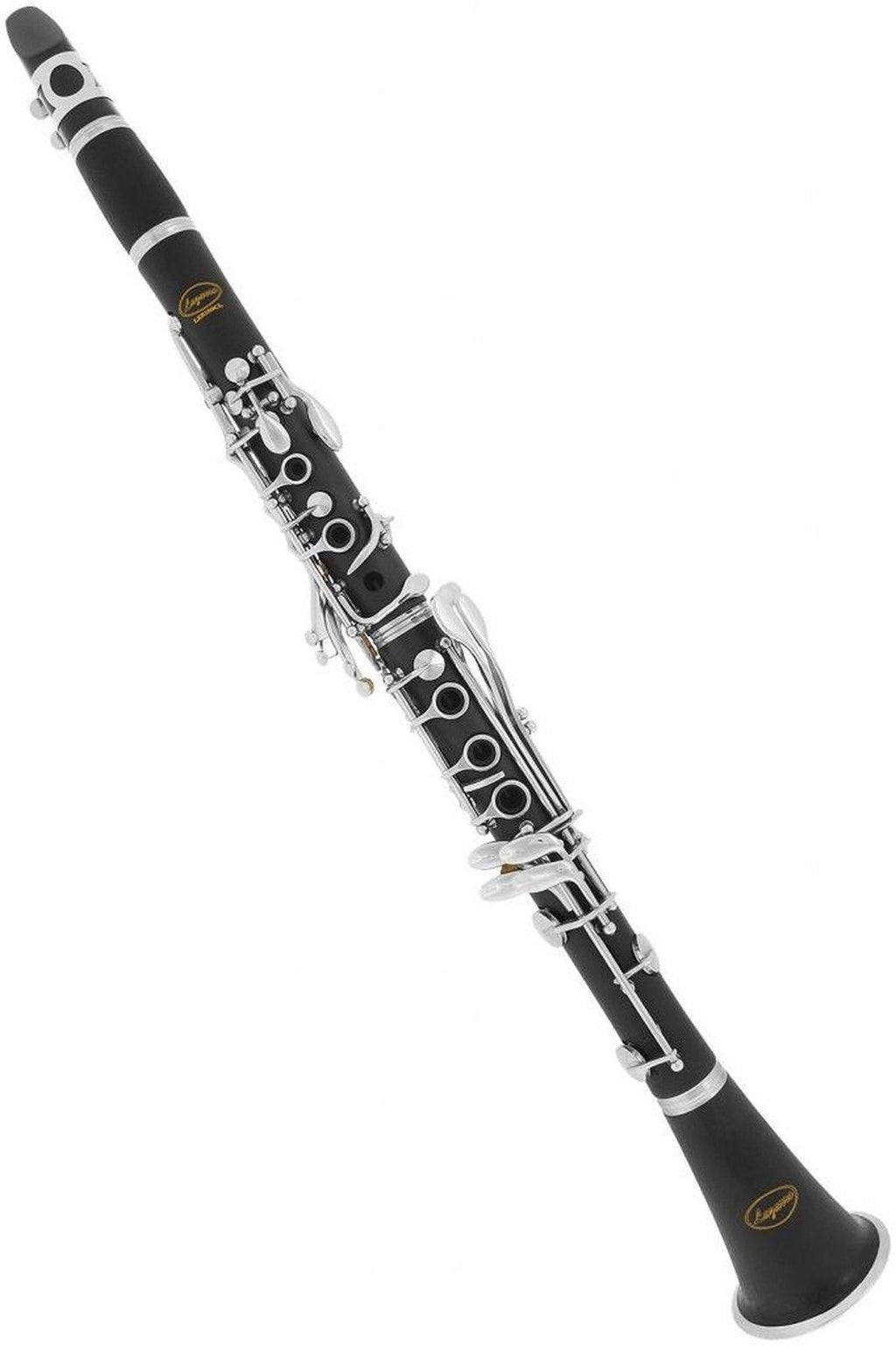 Black Ebonite Silver Keys Bb Clarinet with 11 Reeds Case Care Kit E64790