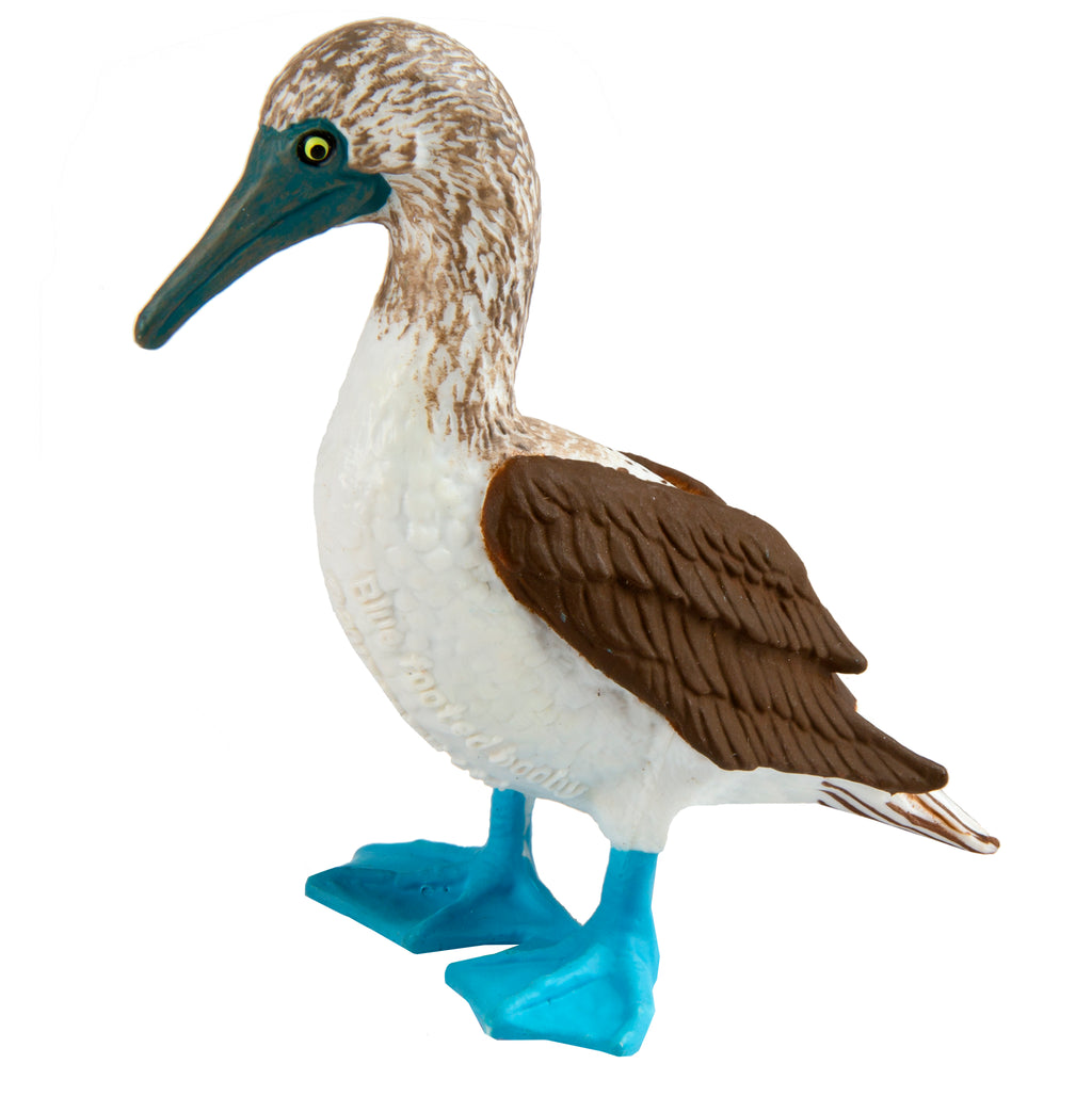 Blue Footed Booby Figurine Multi Color G434