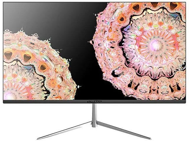 24 in. 1920x1080 LED Monitor with HDMI Speaker V686