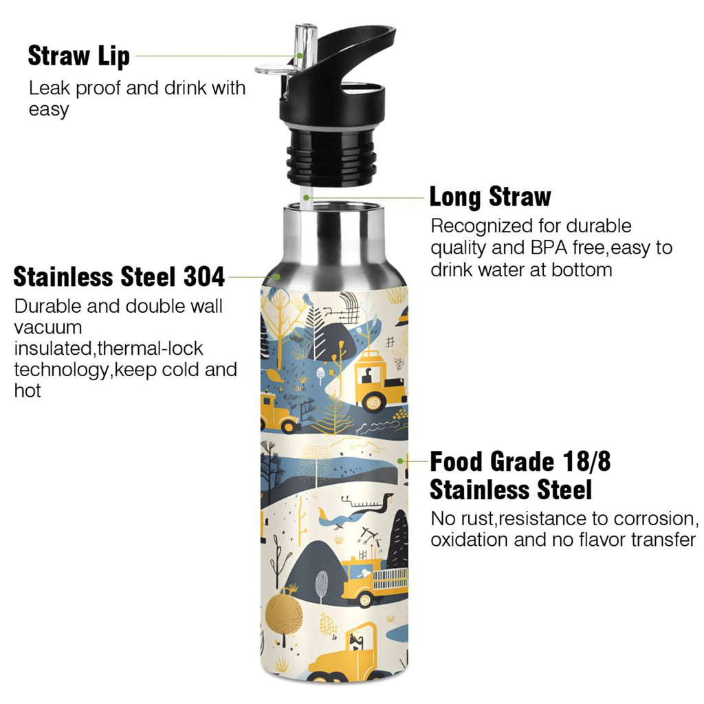 Stainless Steel Insulated Water Bottle with Straw Lid R277930