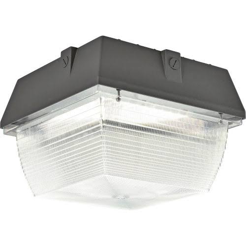 100W LED Canopy Light, 8100 Lumens, 5000K W221846