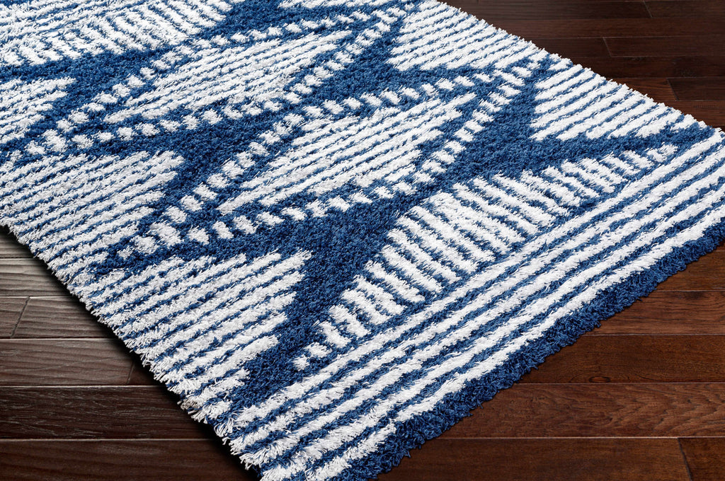 Blue Grey Off White Shag Area Rug X387345