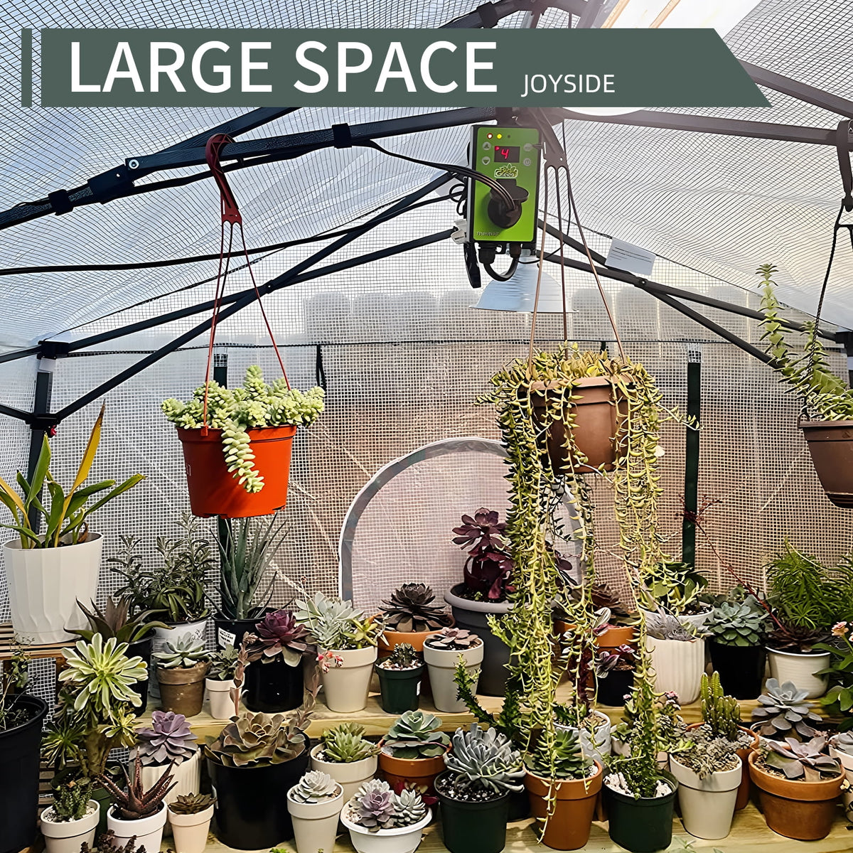 White Pop-up PVC Greenhouse Z7318