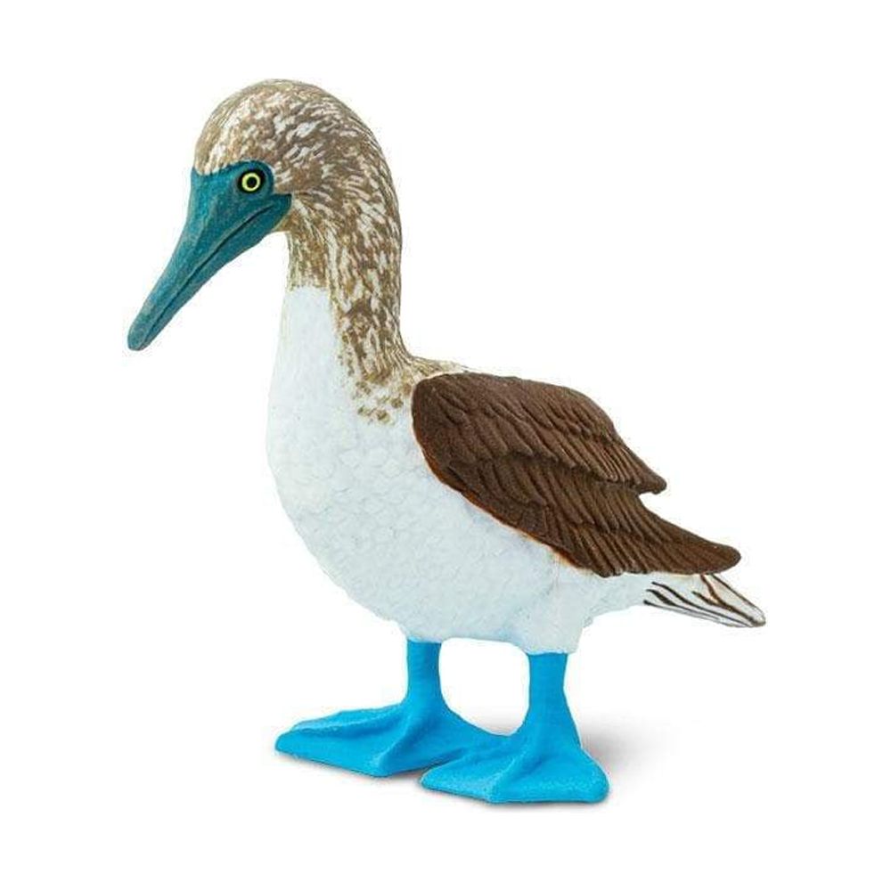 Blue Footed Booby Figurine Multi Color G434