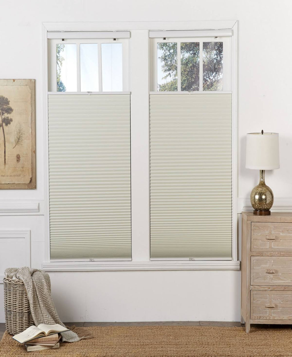 Cream-white Top Down Bottom Up Blackout Shade Y126