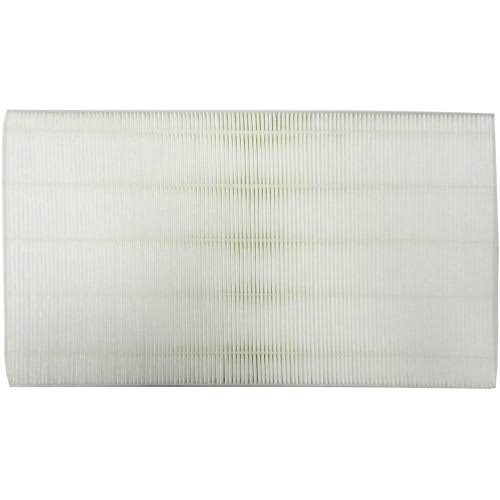 HEPA Airflow Systems Filter B39851
