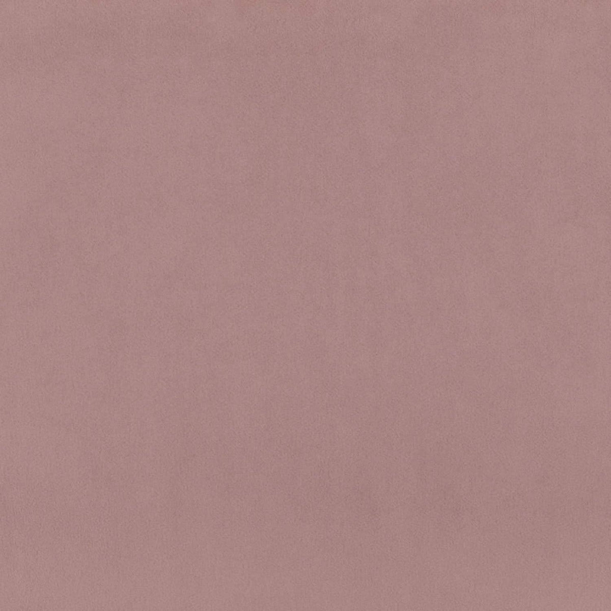 Pink Velvet Arm Chair A740524