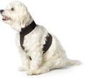 Calmer Canine Accessory Vest Q562