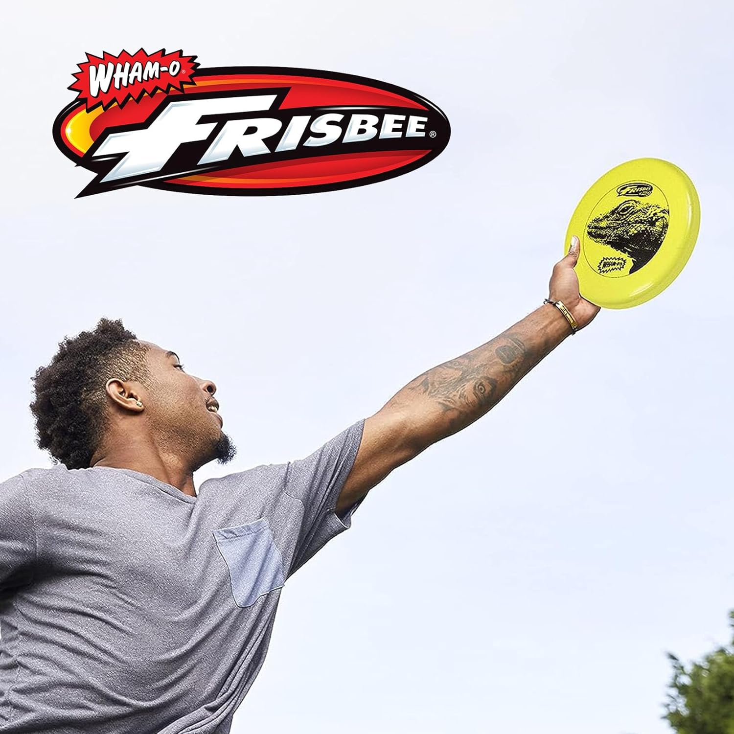 12 PACK GREY GREEN BLUE Lightweight Flying Disc F3306