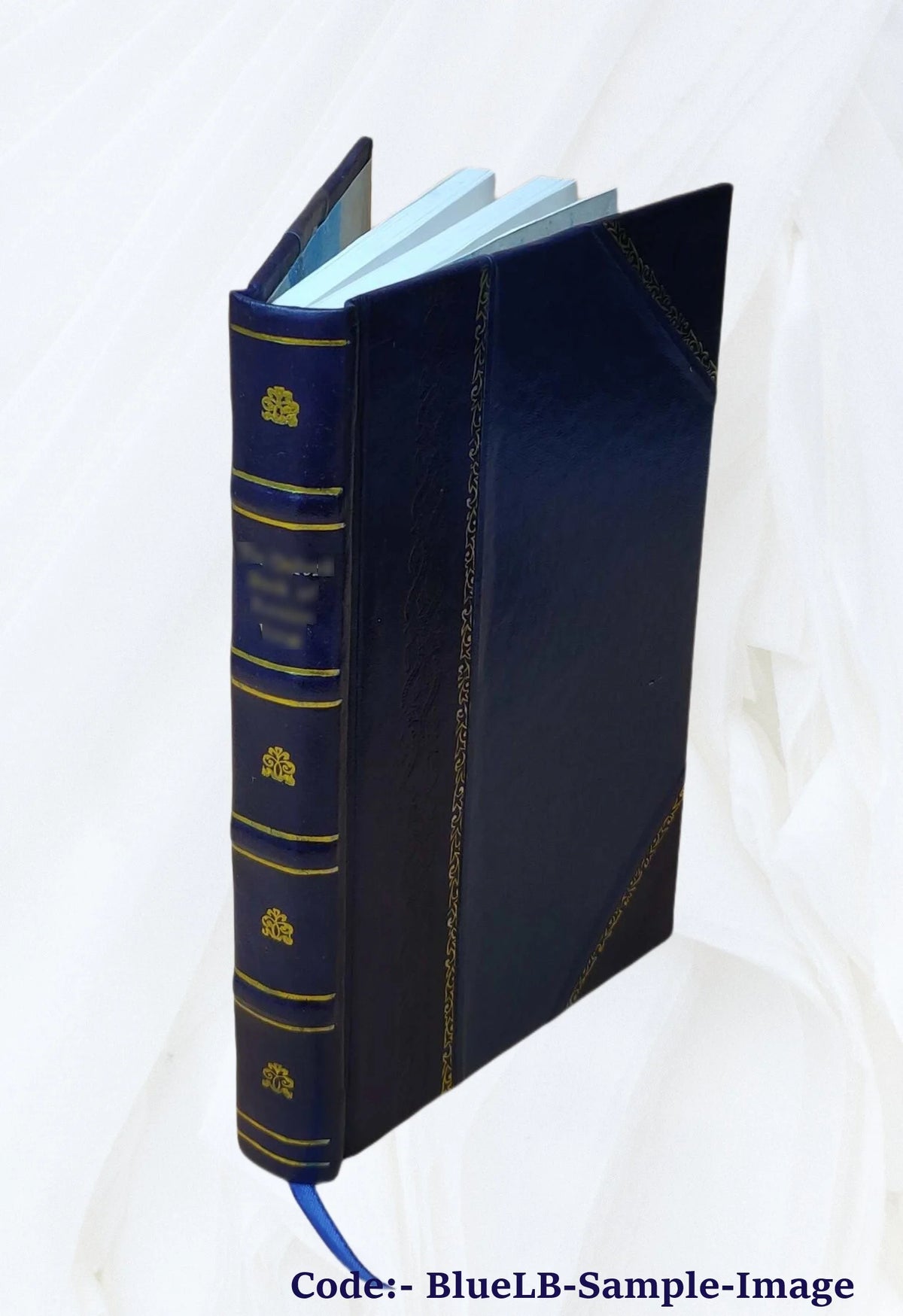 Leather Bound Book H66631