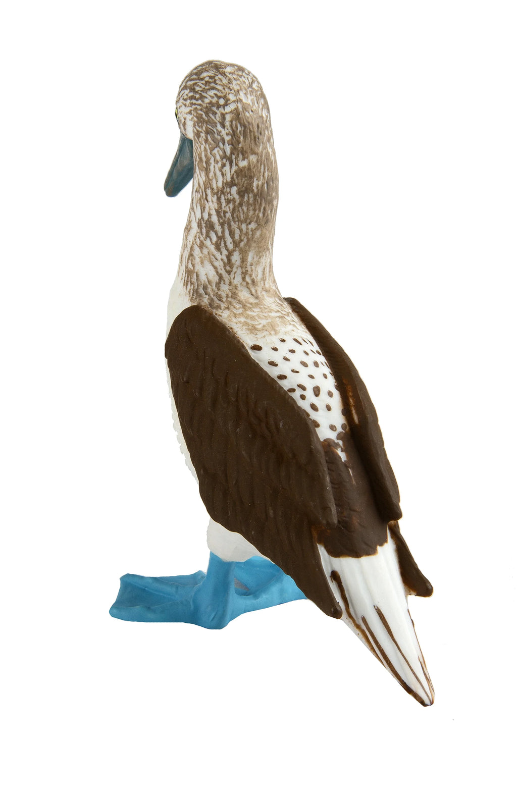 Blue Footed Booby Figurine Multi Color G434