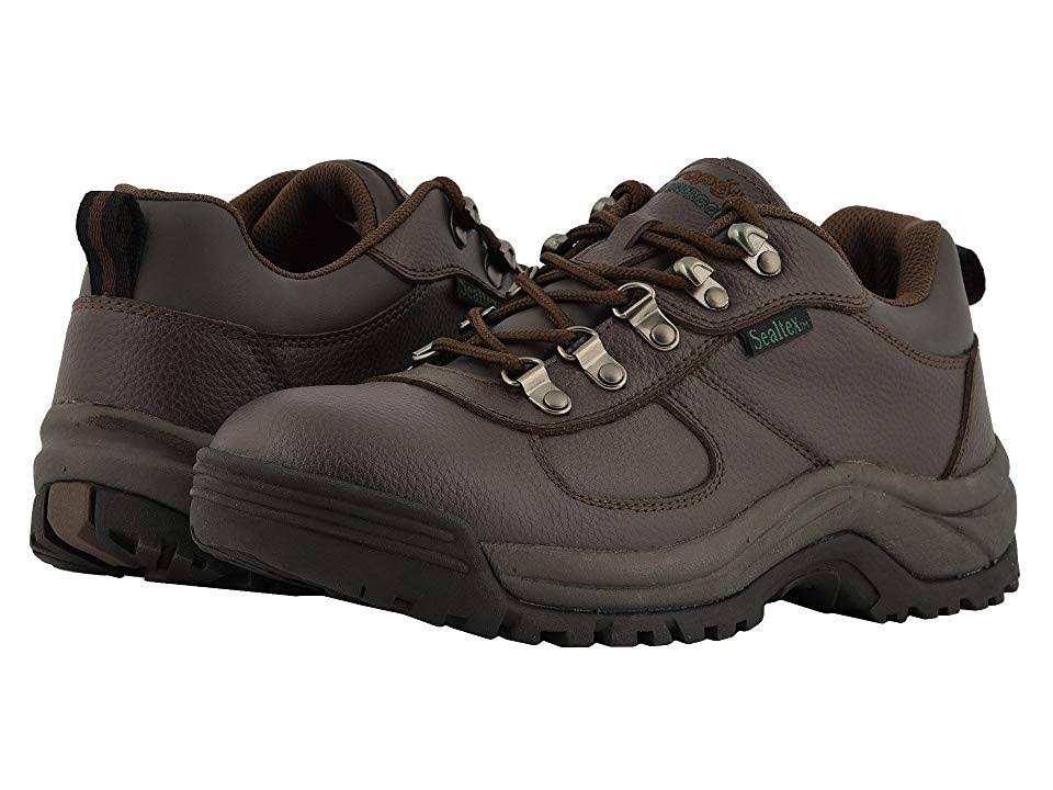 Brown Low Men's Shoes U4515