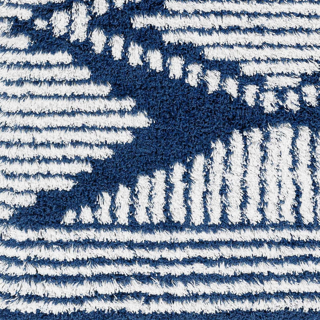 Blue Grey Off White Shag Area Rug X387345