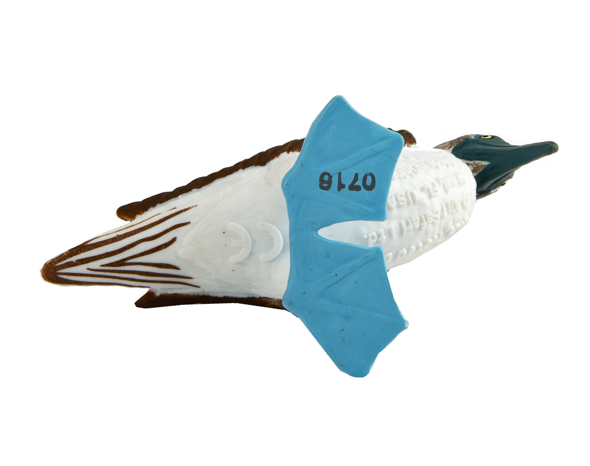 Blue Footed Booby Figurine Multi Color G434