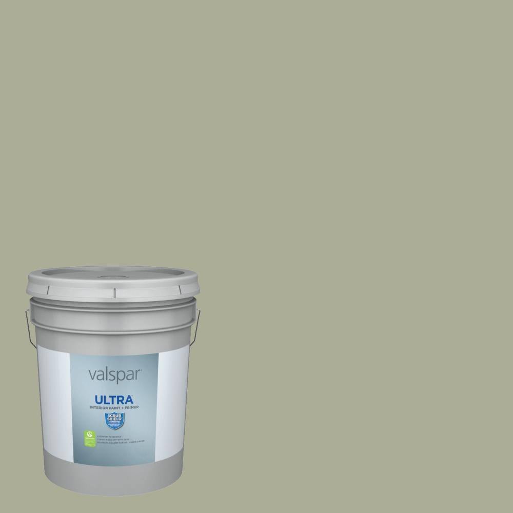 Interior Paint (5-Gallon) O826