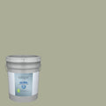Interior Paint (5-Gallon) O826