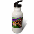 Sports Water Bottle C7398