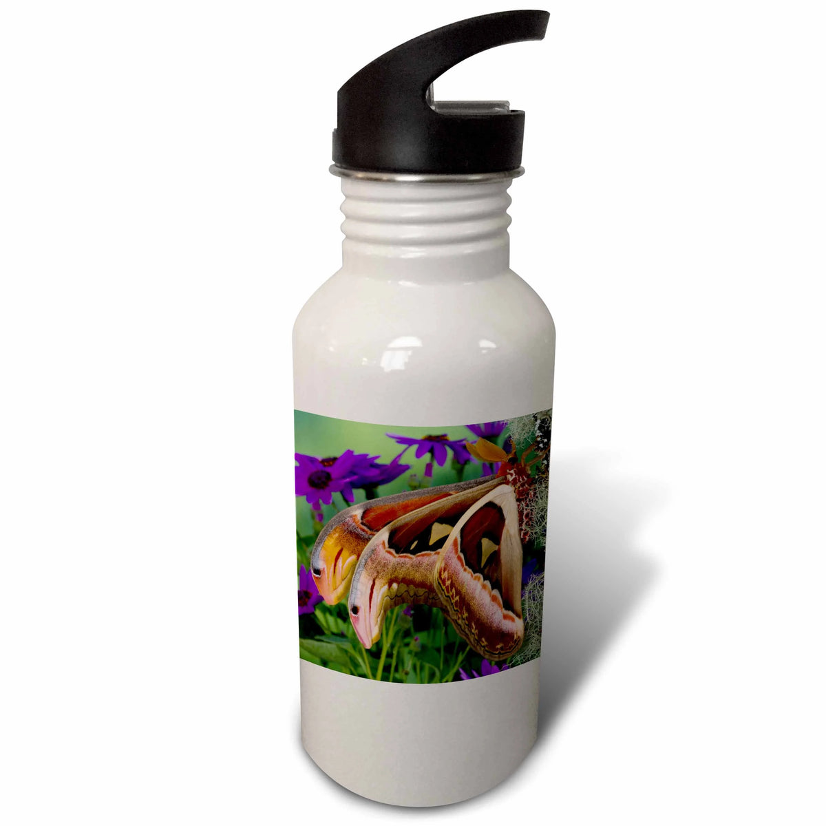 Sports Water Bottle C7398