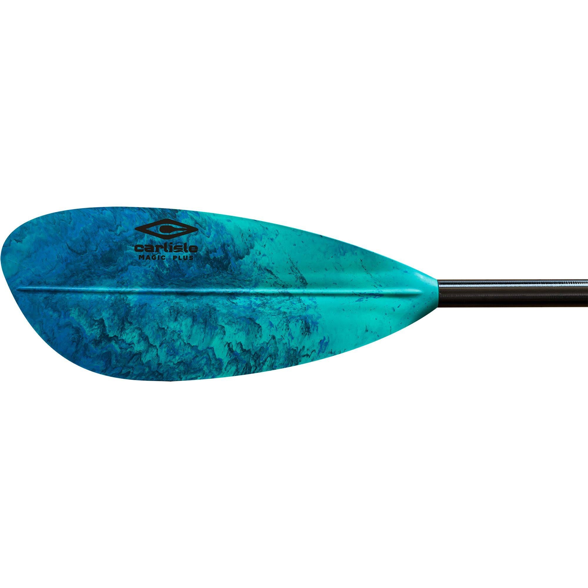 Paddle Z320181