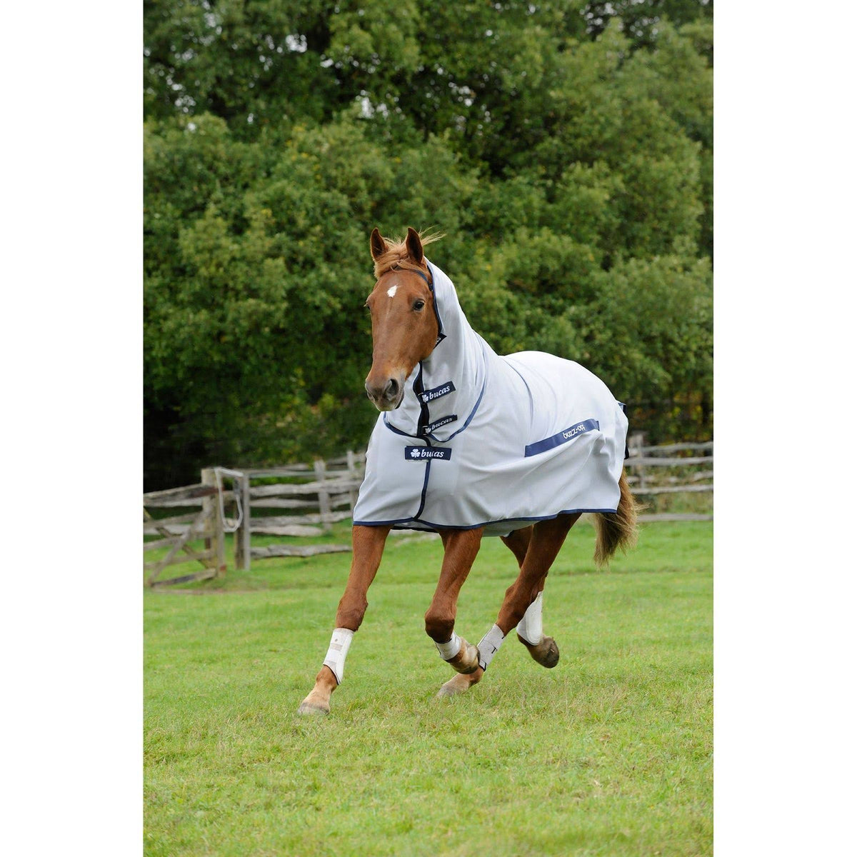 Buzz Off Full Neck Fly Sheet F4021