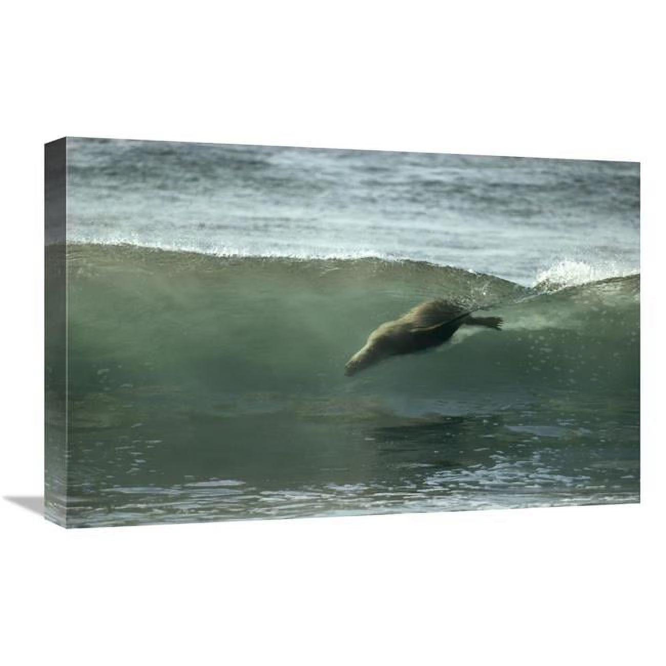 16 x 24 in. Art Print V489