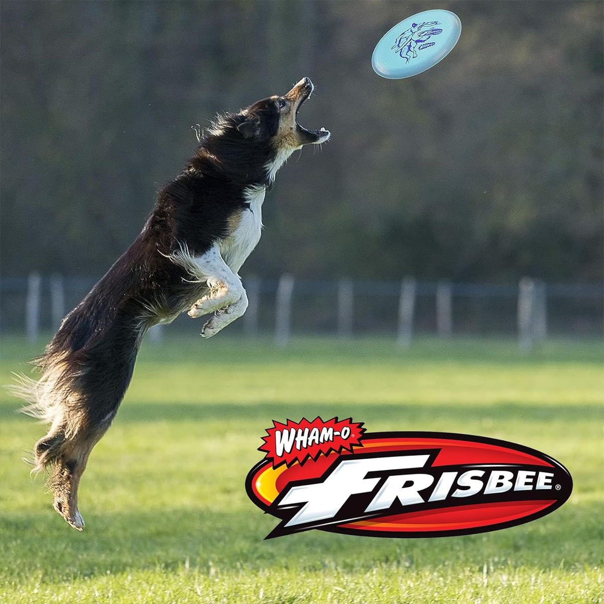 12 PACK GREY GREEN BLUE Lightweight Flying Disc F3306