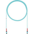 Fiber Optic Network Cable - 61 ft O2468