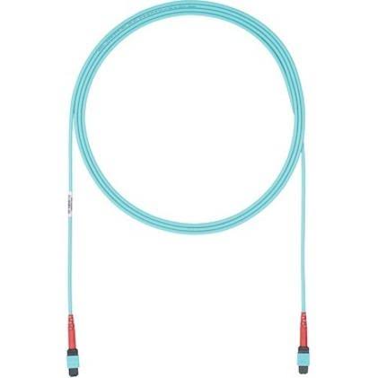 Fiber Optic Network Cable - 61 ft O2468