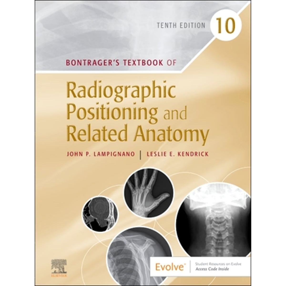Textbook of Radiographic Positioning and Related Anatomy L42619