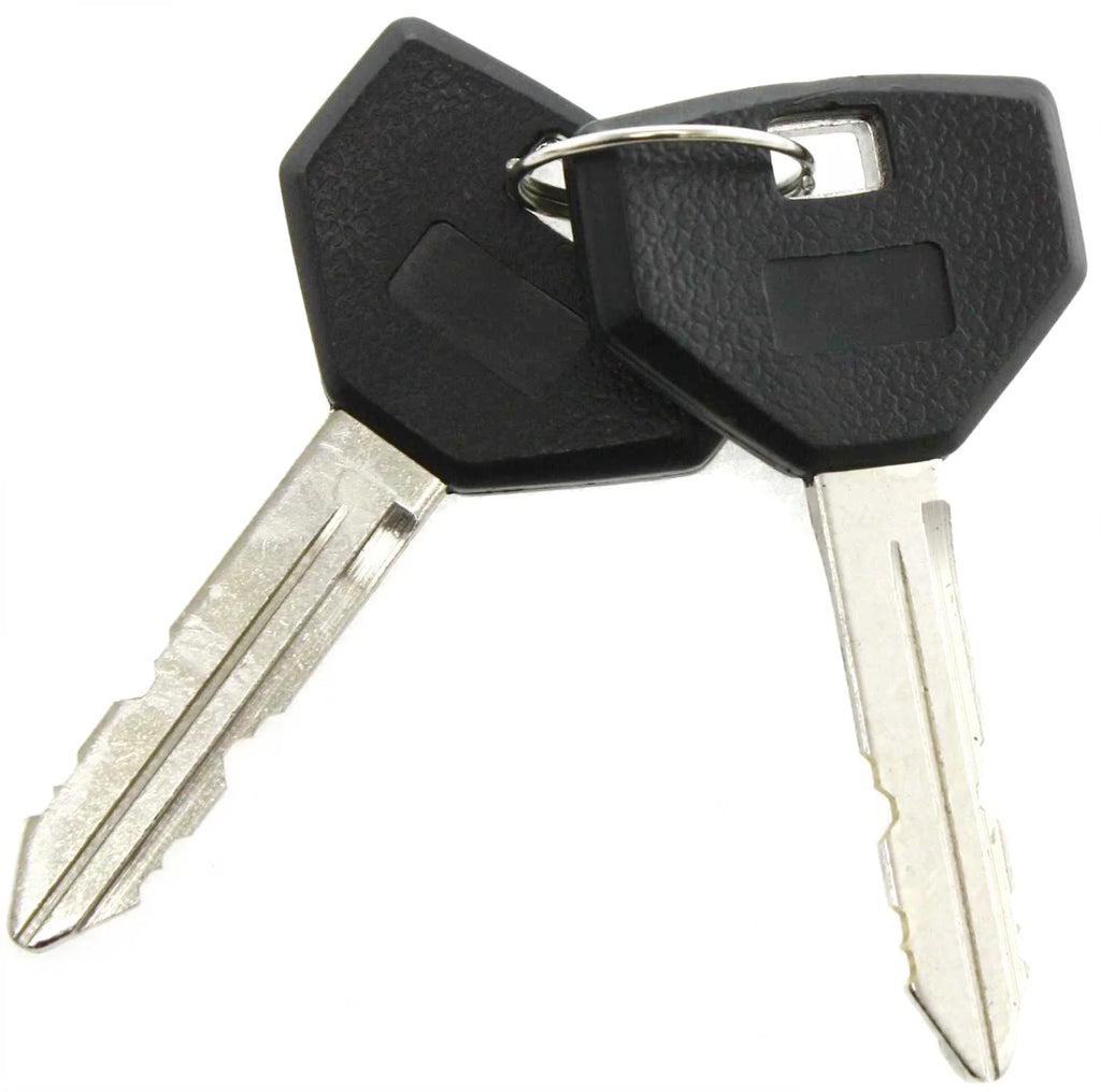 Ignition Lock Cylinder P4910