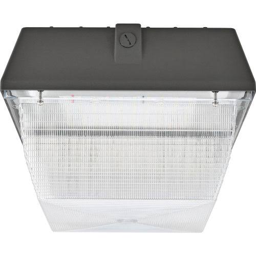 100W LED Canopy Light, 8100 Lumens, 5000K W221846